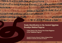 Cover for Snake Identification in the Ancient Egyptian Brooklyn Medical Papyrus